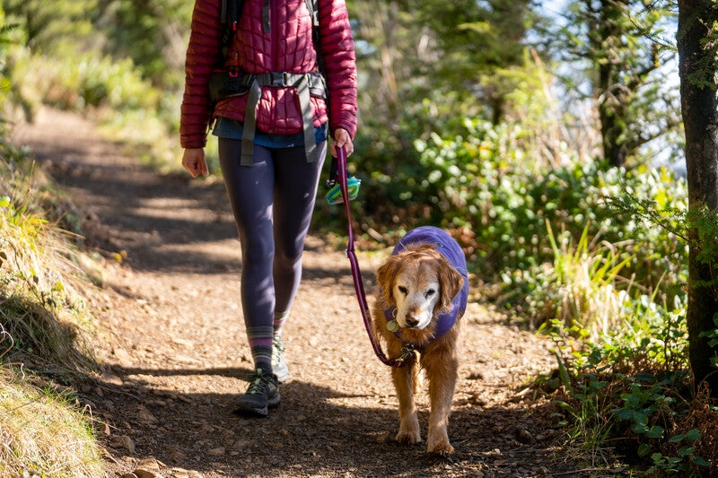 Ruffwear Overcoat Fuse Dog Jacket-Purple Sage