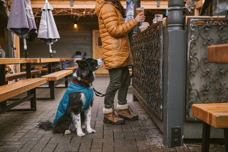 Ruffwear Stumptown Jacket-Metolius Blue