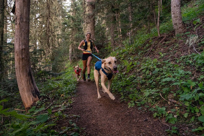 Ruffwear Switchbak Dog Harness-Blue Moon