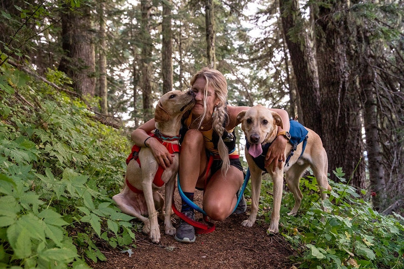 Ruffwear Switchbak Dog Harness-Blue Moon