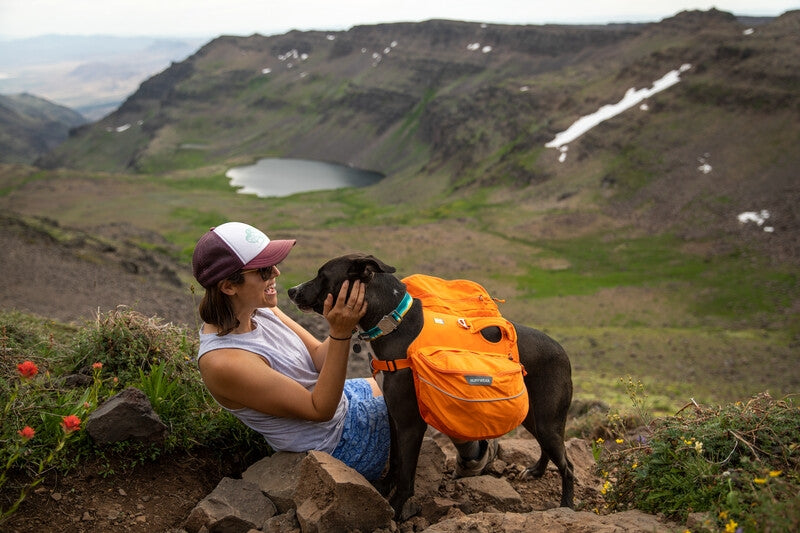 Ruffwear Top Rope Dog Collar-Blue Dusk