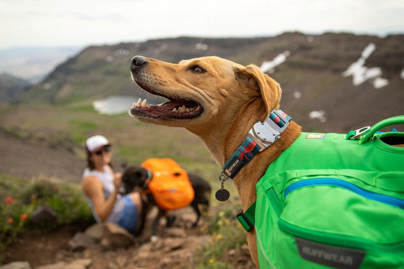 Ruffwear Top Rope Dog Collar-Blue Dusk