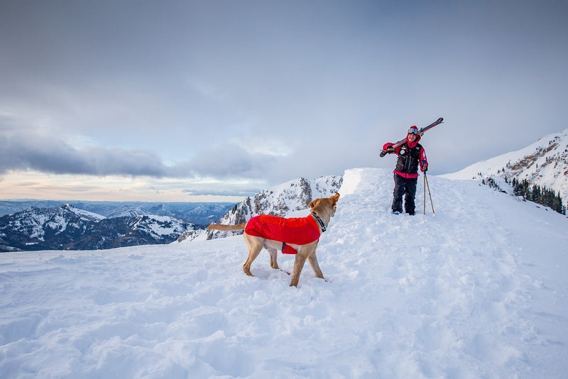 Ruffwear Vert Jacket-Blue Atoll