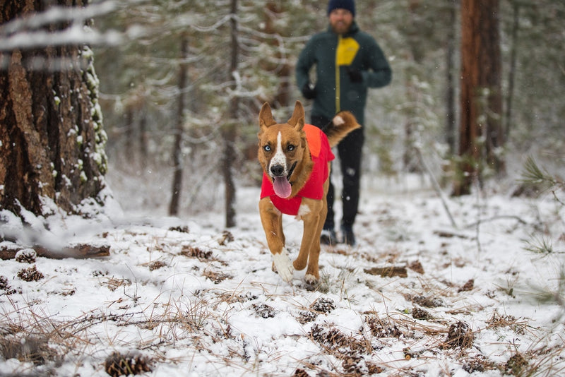 Ruffwear Vert Jacket-Blue Atoll